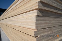 Holzhausbau Lignova Speyer 16