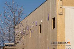 Holzhausbau Lignova Speyer 21