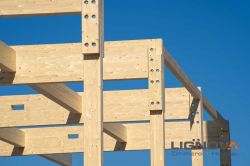 Holzhausbau Lignova Speyer 6