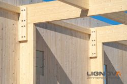 Holzhausbau Lignova Speyer 7
