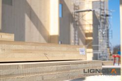 Holzhausbau Lignova Speyer 8