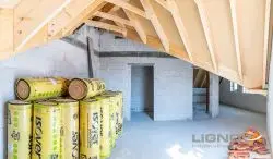 dachsanierung-lignova-speyer-4